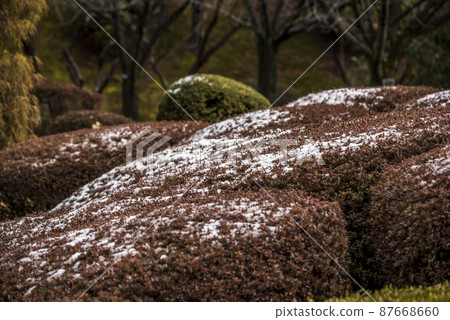 << Aichi Prefecture >> Nagoya Castle Scenic Beauty Ninomaru Garden << Aichi Prefecture >> Nagoya Castle Scenic Beauty Ninomaru Garden 87668660