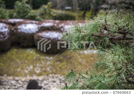 << Aichi Prefecture >> Nagoya Castle Scenic Beauty Ninomaru Garden << Aichi Prefecture >> Nagoya Castle Scenic Beauty Ninomaru Garden 87668663