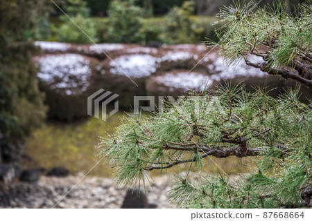 << Aichi Prefecture >> Nagoya Castle Scenic Beauty Ninomaru Garden 87668664