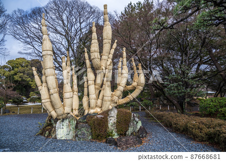 << Aichi Prefecture >> Nagoya Castle Scenic Beauty Ninomaru Garden << Aichi Prefecture >> Nagoya Castle Scenic Beauty Ninomaru Garden 87668681