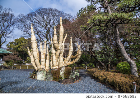 << 愛知縣 >> 名古屋城名勝二之丸庭園 87668682