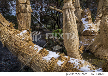 << Aichi Prefecture >> Nagoya Castle Scenic Beauty Ninomaru Garden 87668683