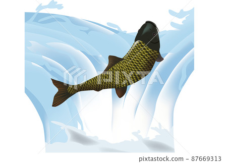 鯉魚的動態 鯉魚的動態 87669313