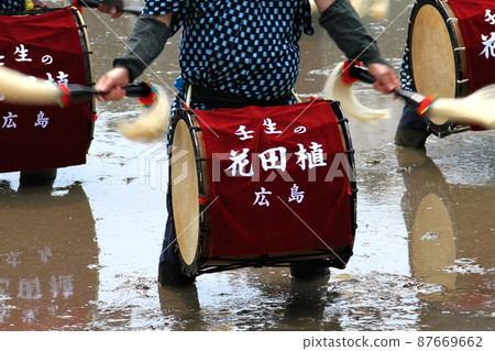 Mibu的花卉水稻 Mibu的花卉水稻 87669662