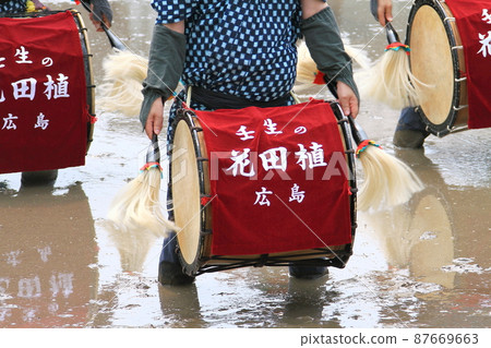 Mibu的花卉水稻 87669663