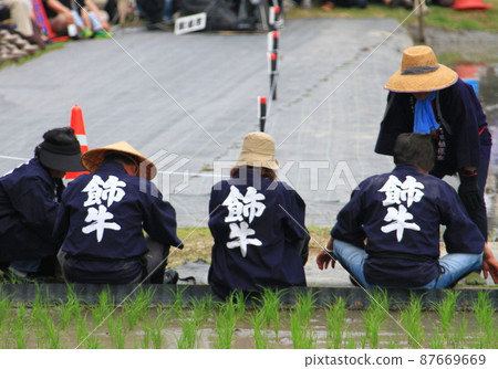 Mibu's flower rice plant 87669669