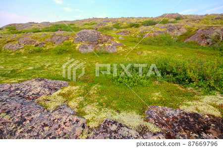 Mountain tundra in Lapland Mountain tundra in Lapland 87669796