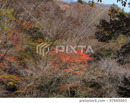 Autumn scenery of Tenkawa village 87669865