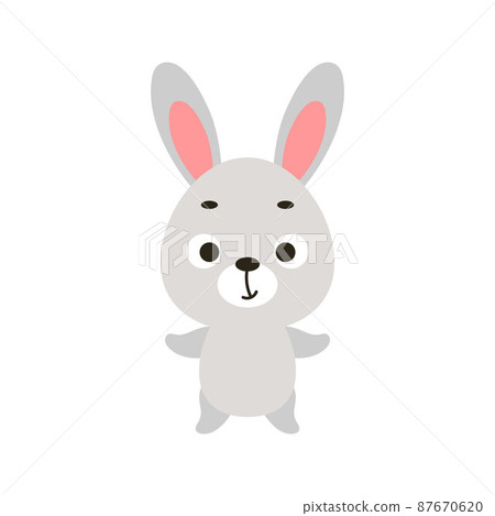 Cute little bunny on white background. Cartoon animal character for kids cards, baby shower, invitation, poster, t-shirt composition, house interior. Vector stock illustration. Cute little bunny on white background. Cartoon animal character for kids cards, baby shower, invitation, poster, t-shirt composition, house interior. Vector stock illustration. 87670620