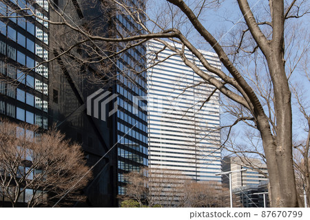 Scenery of skyscrapers and roadside trees in Tokyo 87670799