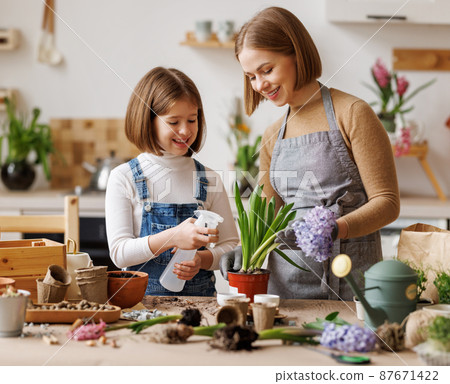 Happy mother and cute daughter planting flowers 87671422