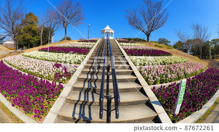 Akashi Kaikyo National Government Park Kaze no Oka 2 87672261