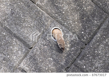 Itachi showing his face from the drain pipe 87673017