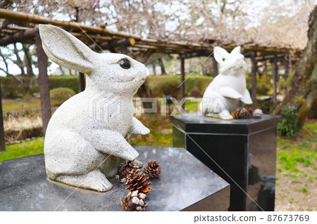Izumo City, Shimane Prefecture "Izumo Taisha Rabbit" Izumo City, Shimane Prefecture "Izumo Taisha Rabbit" 87673769