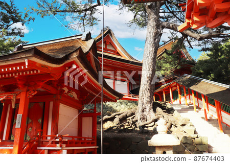 "Hinomisaki Shrine" in Izumo City, Shimane Prefecture 87674403