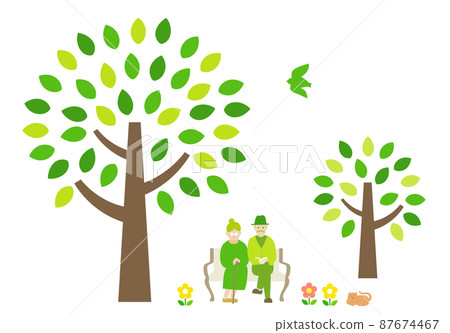 Park bench senior couple tree Park bench senior couple tree 87674467