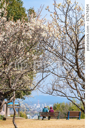 平芝梅林公園梅花盛開<愛知縣豐田市> 平芝梅林公園梅花盛開<愛知縣豐田市> 87674804