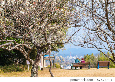 平芝梅林公園梅花盛開<愛知縣豐田市> 平芝梅林公園梅花盛開<愛知縣豐田市> 87674805