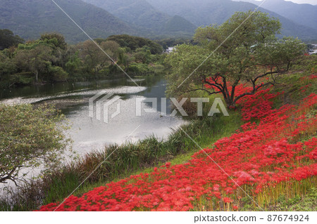 愛知縣海津市淨水公園，鮮紅的秋景-8 87674924