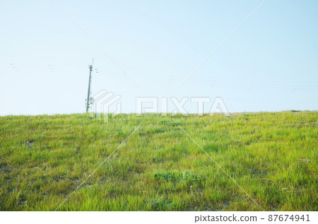 Grass, sky and utility poles 87674941