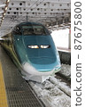 sightseeing train 87675800