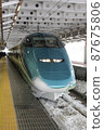 Wing 87675806
