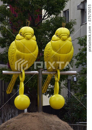 Sekisei parakeet Sekisei parakeet 87678055