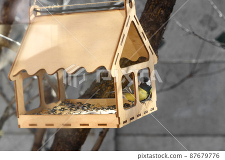 A tit eats food from a bird feeder. Wooden bird house 87679776