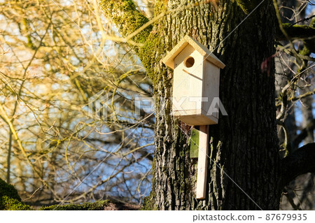 A new wooden birdcage in a tree in spring. Birdhouse. Selective focus A new wooden birdcage in a tree in spring. Birdhouse. Selective focus 87679935
