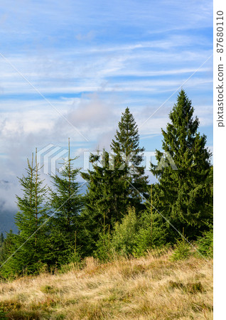 Landscapes of the Ukrainian Carpathians, a trip to the ridges of the mountains in Ukraine. 87680110