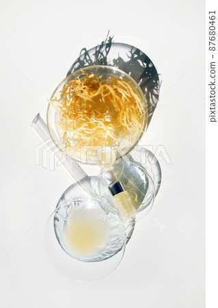 Abstract cosmetic laboratory. Nature cosmetics with sea moss. Chemical laboratory research. 87680461