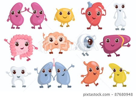 Cute internal organs characters. Funny human... - Stock Illustration  [87680948] - PIXTA