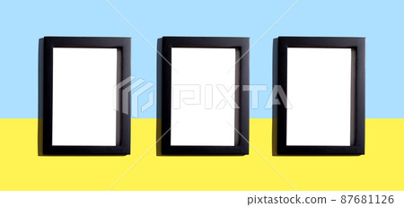 Blank rectangle picture frames 87681126
