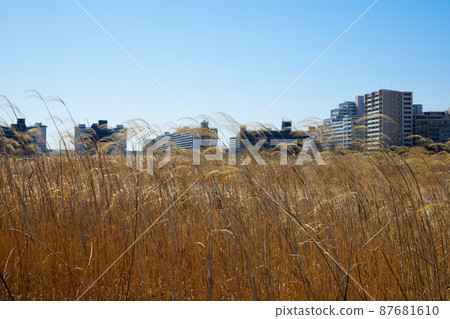 Overlooking the residential area of Hard Island from the riverbank of Arakawa, Yoshinoho, Susukinoho 87681610