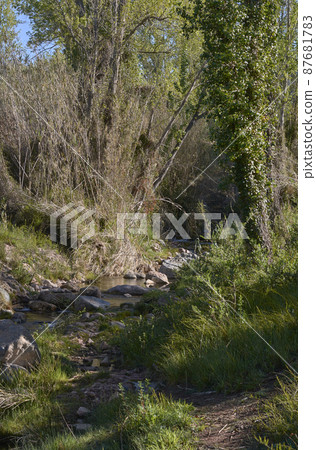 Quiet river on a bright spring morning 87681783