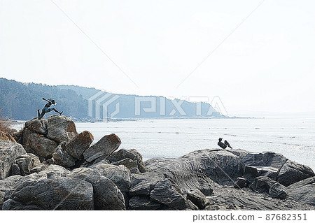 嘗試海灘 87682351