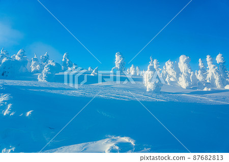 Rime and blue sky (Miyagi Zao) Rime and blue sky (Miyagi Zao) 87682813