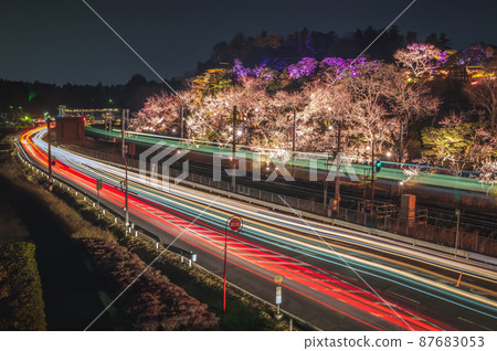 Illumination of Kairakuen and the trajectory of the car in Mito City, Ibaraki Prefecture Illumination of Kairakuen and the trajectory of the car in Mito City, Ibaraki Prefecture 87683053