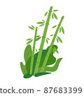 Vector flat style illustration of a bamboo 87683399