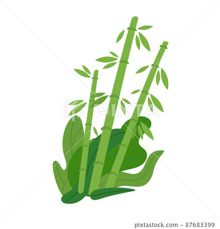 Vector flat style illustration of a bamboo 87683399