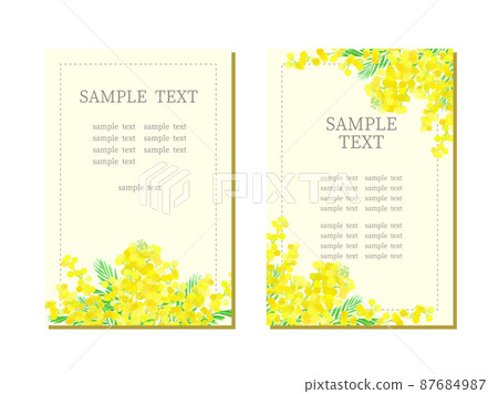 Hand drawn mimosa illustration card 87684987