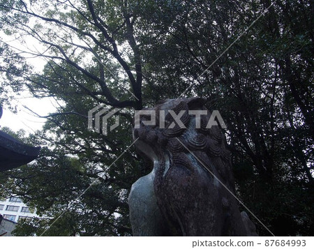 守護龜山八幡宮的守護犬 87684993