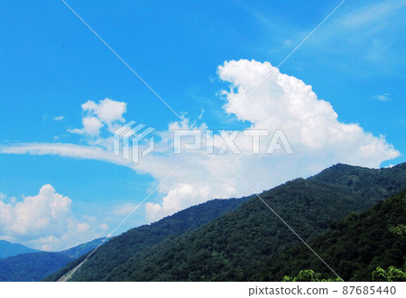 Pingtung, Wanluan, Hengchun, car vassals, Kenting, quadruple, peony Pingtung, Wanluan, Hengchun, car vassals, Kenting, quadruple, peony 87685440