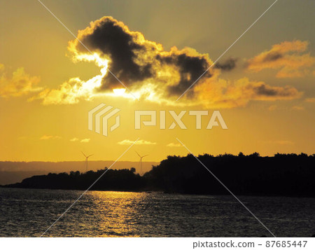 Pingtung, Wanluan, Hengchun, car vassals, Kenting, quadruple, peony Pingtung, Wanluan, Hengchun, car vassals, Kenting, quadruple, peony 87685447