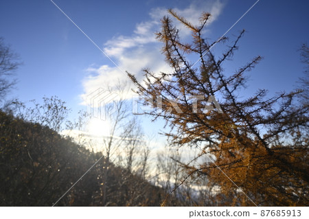 From autumn to winter From autumn to winter 87685913