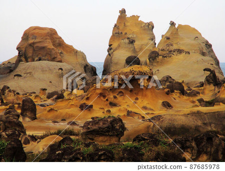 基隆、和平島、象鼻岩 87685978