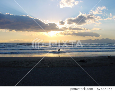 湘南日落 87686267