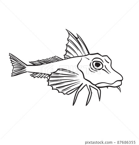 Red Gurnard Fish Red Gurnard Fish 87686355