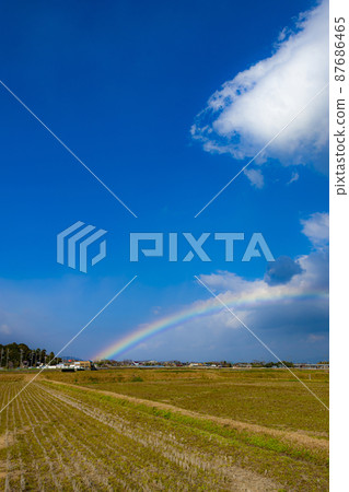 彩虹 彩虹 87686465