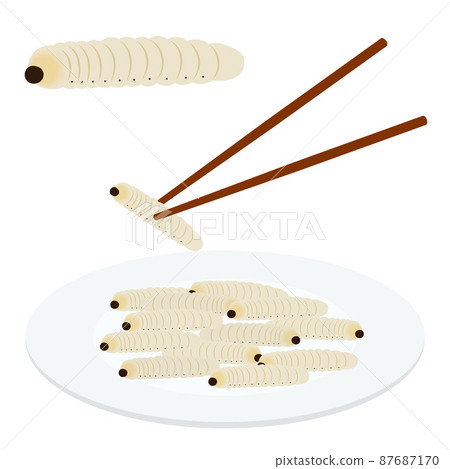 Illustration of longhorn beetle larvae 87687170